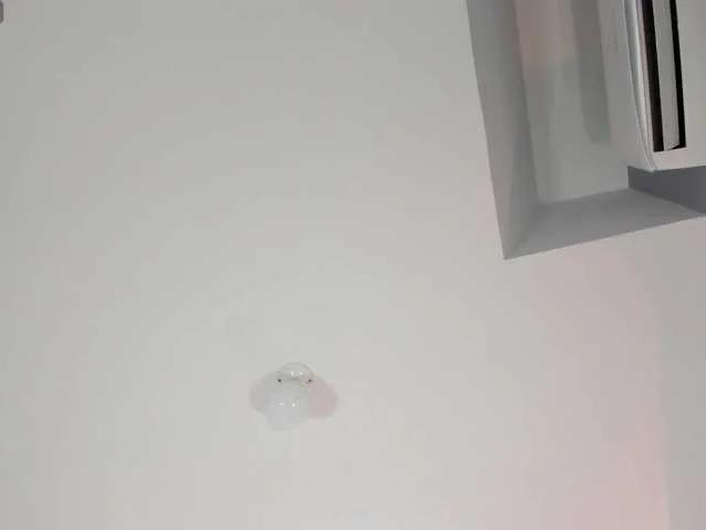 CarolainSanta on BongaCams