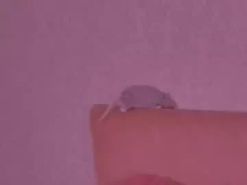 Freechat barbara_bb on Chaturbate