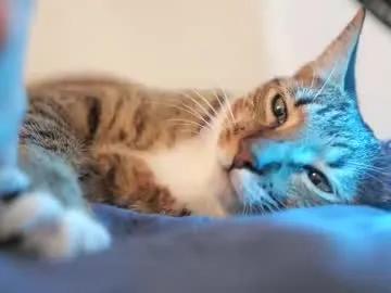 senssual_goddess — Welcome to my room :) #skinny #18 #new #young - Repeating Goal: Cuuum face and mouth!! - #lovense