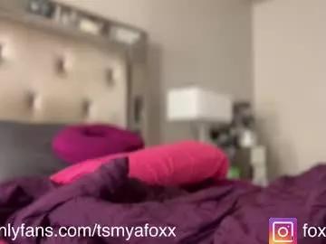 Freechat tsfoxx on Chaturbate
