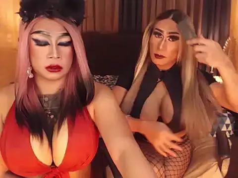 Freechat Asianbigcum on StripChat