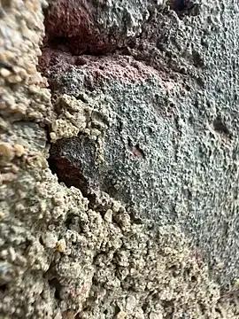 Group couplesexroom on StripChat