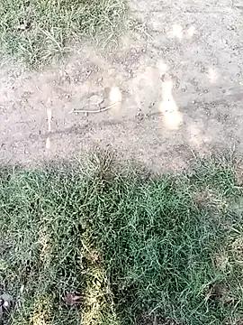 Mehta_seema — Freechat on StripChat