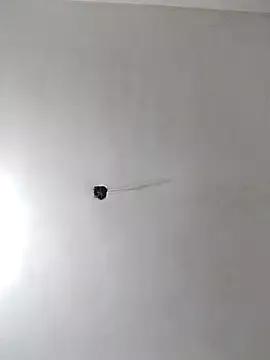 radhika2 on StripChat